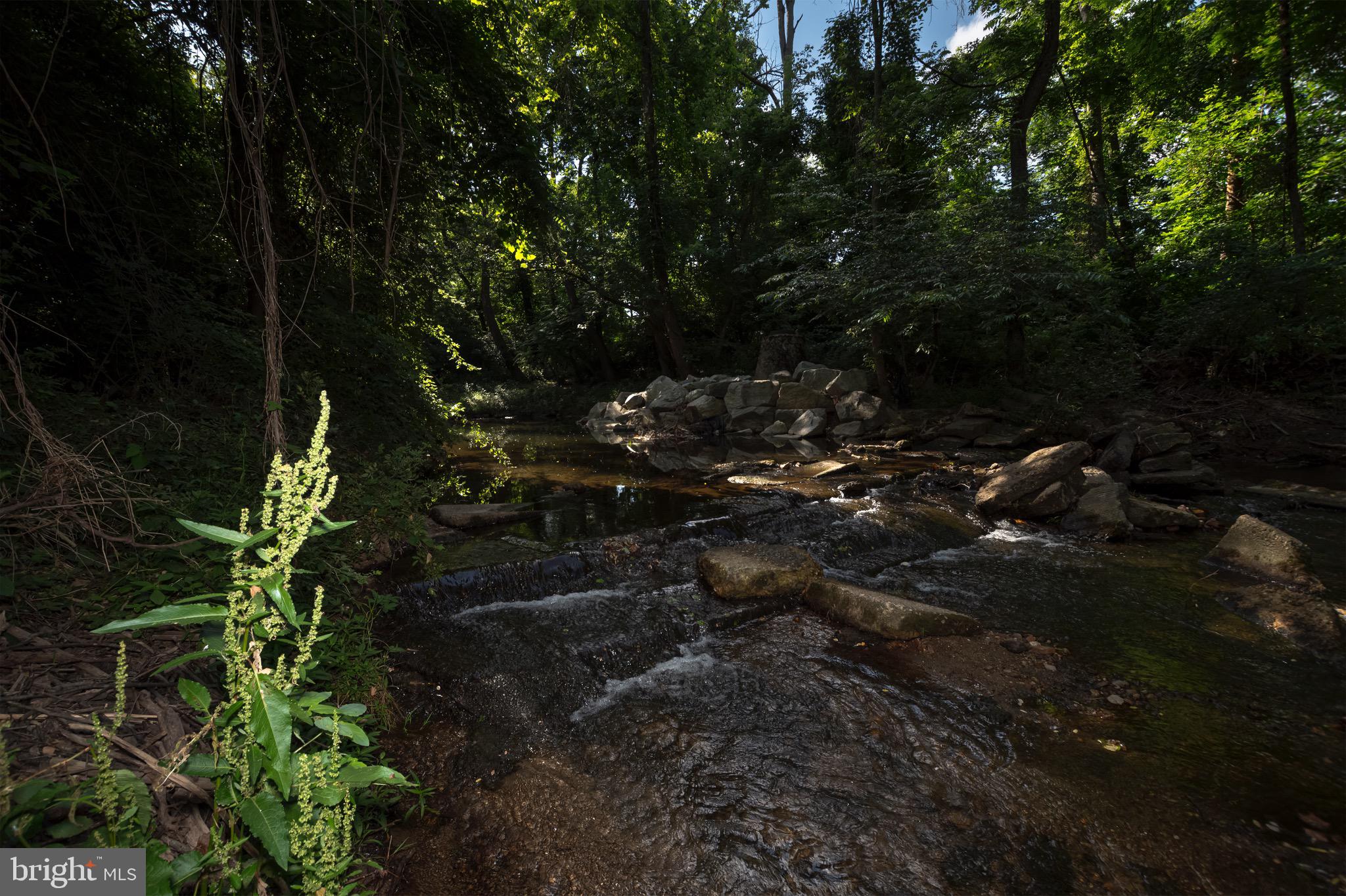 30 Timberline Drive Newark, DE 19711 - Photo 36 of 39 a picture of trees