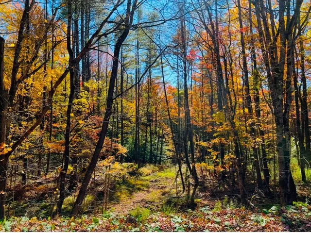 $650,000 | 2170 Wildlife Road, Hartford, VT 05001