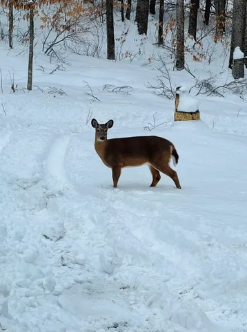 $650,000 | 2170 Wildlife Road, Hartford, VT 05001