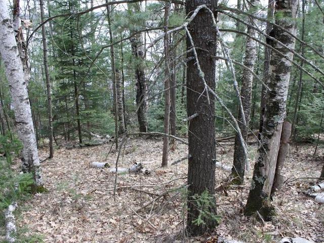 On Chain O Lakes Road, Unit LOT 2 Eagle River, WI 54521 - Photo 11 of 11 Gallery Image 11