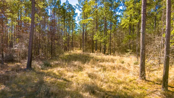 a view of large yard