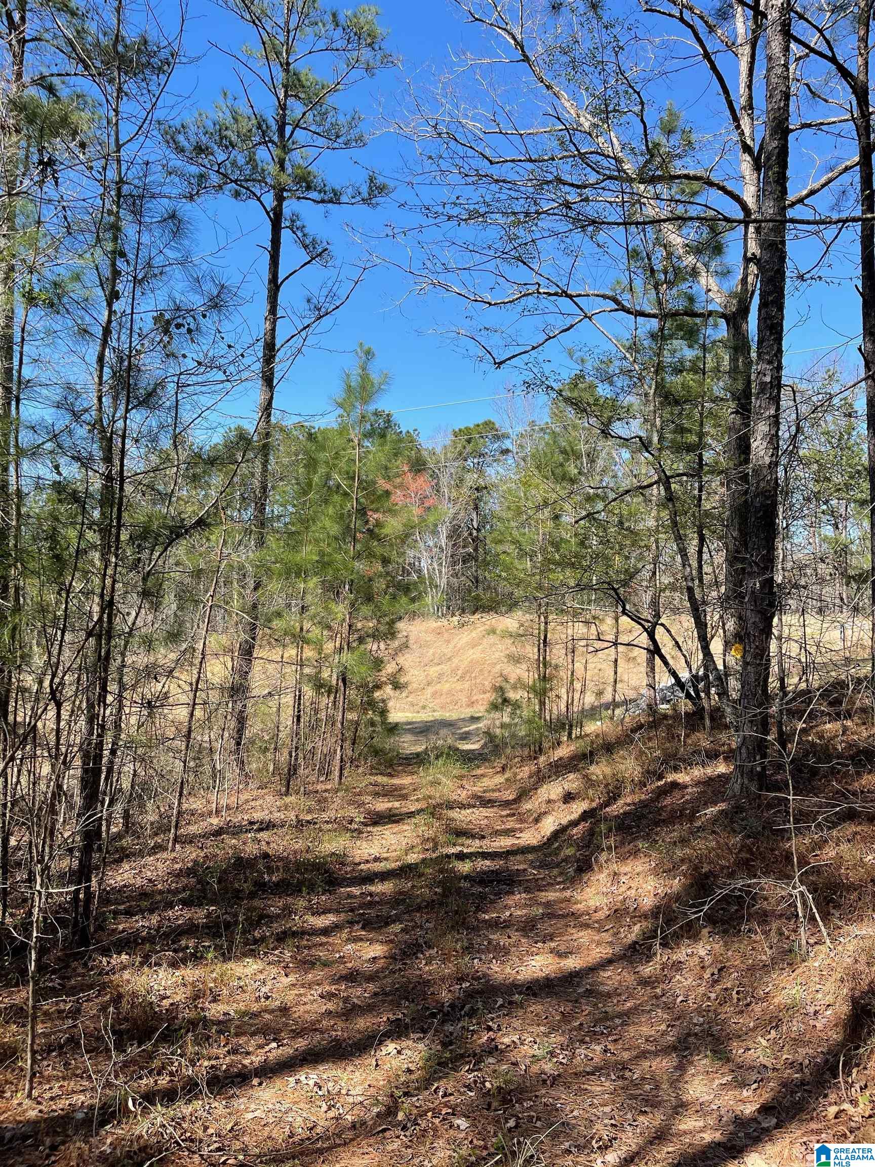 521 Sycamore Road Columbiana, AL 35051 - Photo 6 of 9