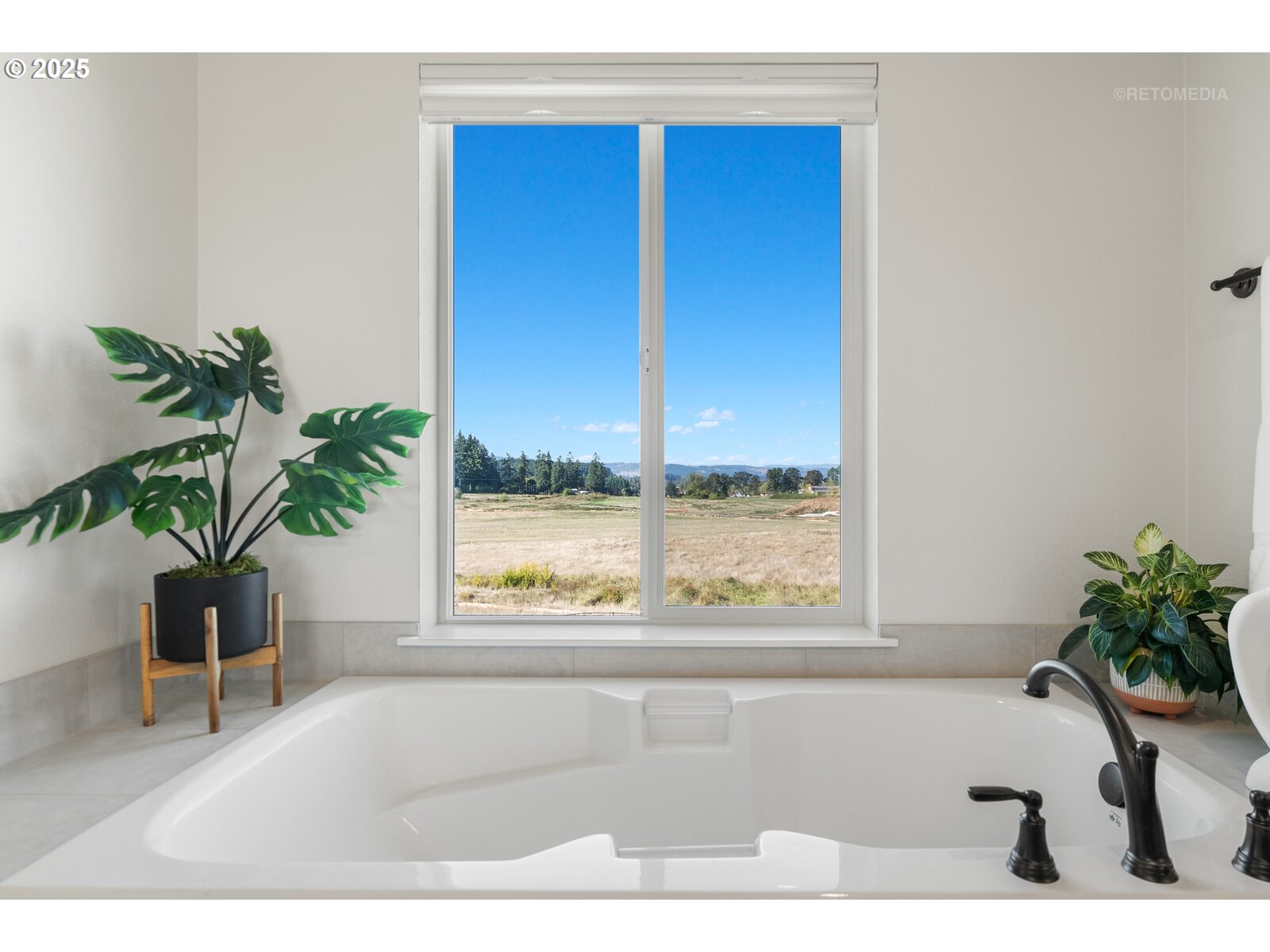 12305 Southwest Silvertip Street Beaverton, OR 97007 - Photo 29 of 43 a living room with a potted plant