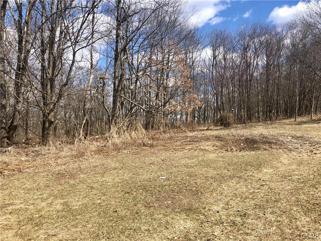 North Street Freeland, PA 18224 - Photo 1 of 9 a view of outdoor space with trees