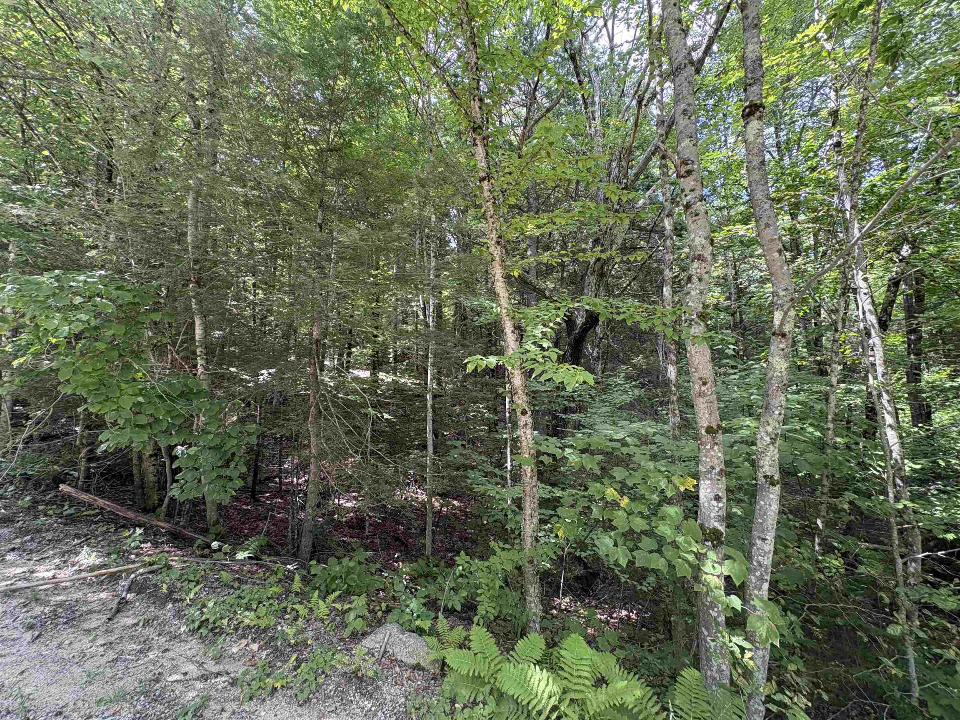 Craig Road, Unit 3 Antrim, NH 03440 - Photo 10 of 13 Gallery Image 10