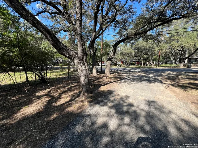 a view of park with tree