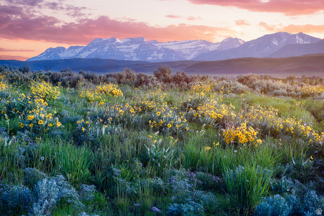 995 East Hoyt Peak Ranch Road, Unit 3 Kamas, UT 84036 - Photo 1 of 7 Additional content