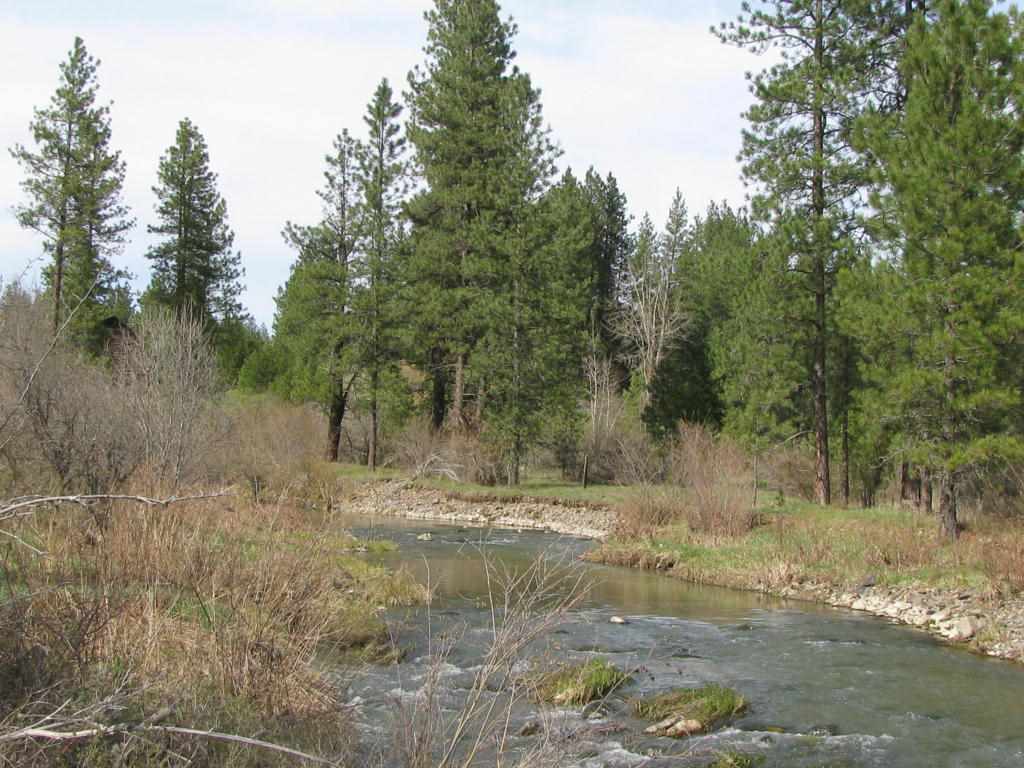4173 D Lyons Hill Road Springdale, WA 99173 - Photo 3 of 6
