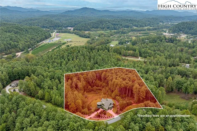 a living room with furniture a fireplace and a table