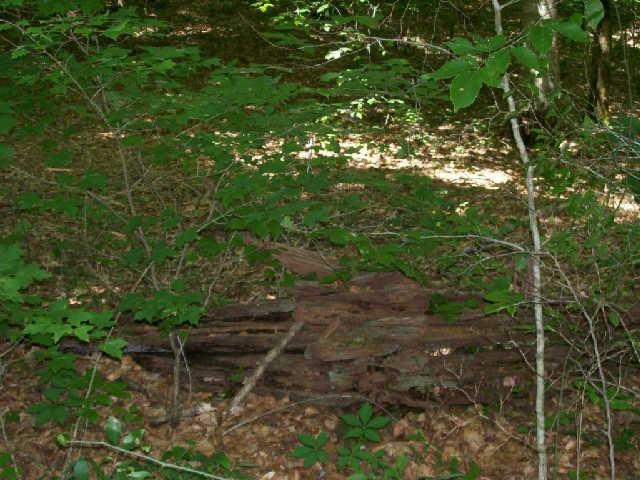 7906 Daugherty-Capley Road, Unit 1 Primm Springs, TN 38476 - Photo 4 of 4