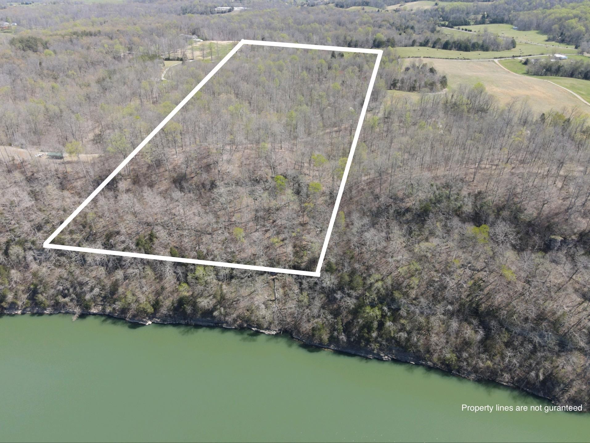 1 Creed Wright Road Walling, TN 38587 - Photo 1 of 8 Gallery Image 1