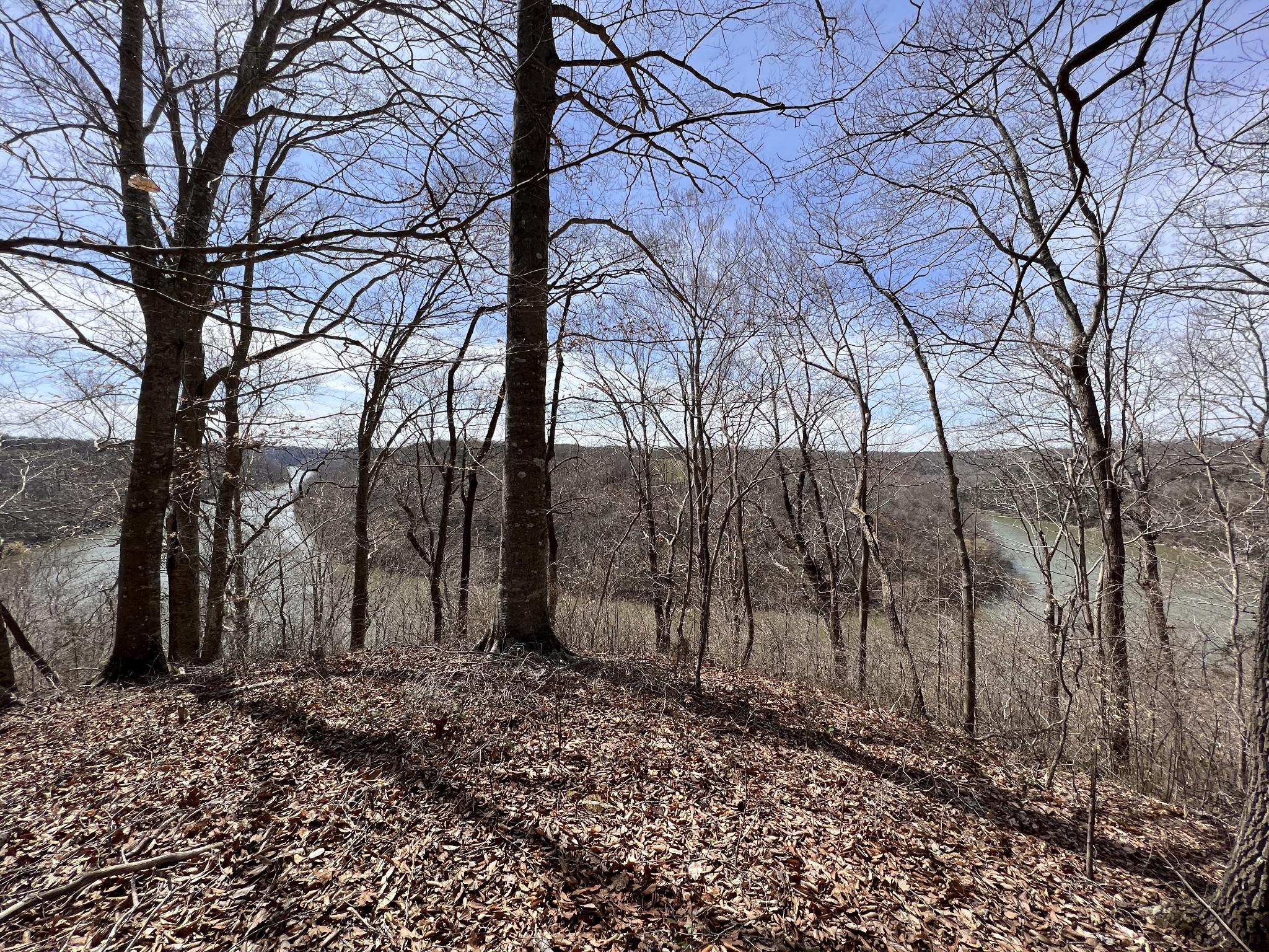 1 Creed Wright Road Walling, TN 38587 - Photo 2 of 8 Gallery Image 2