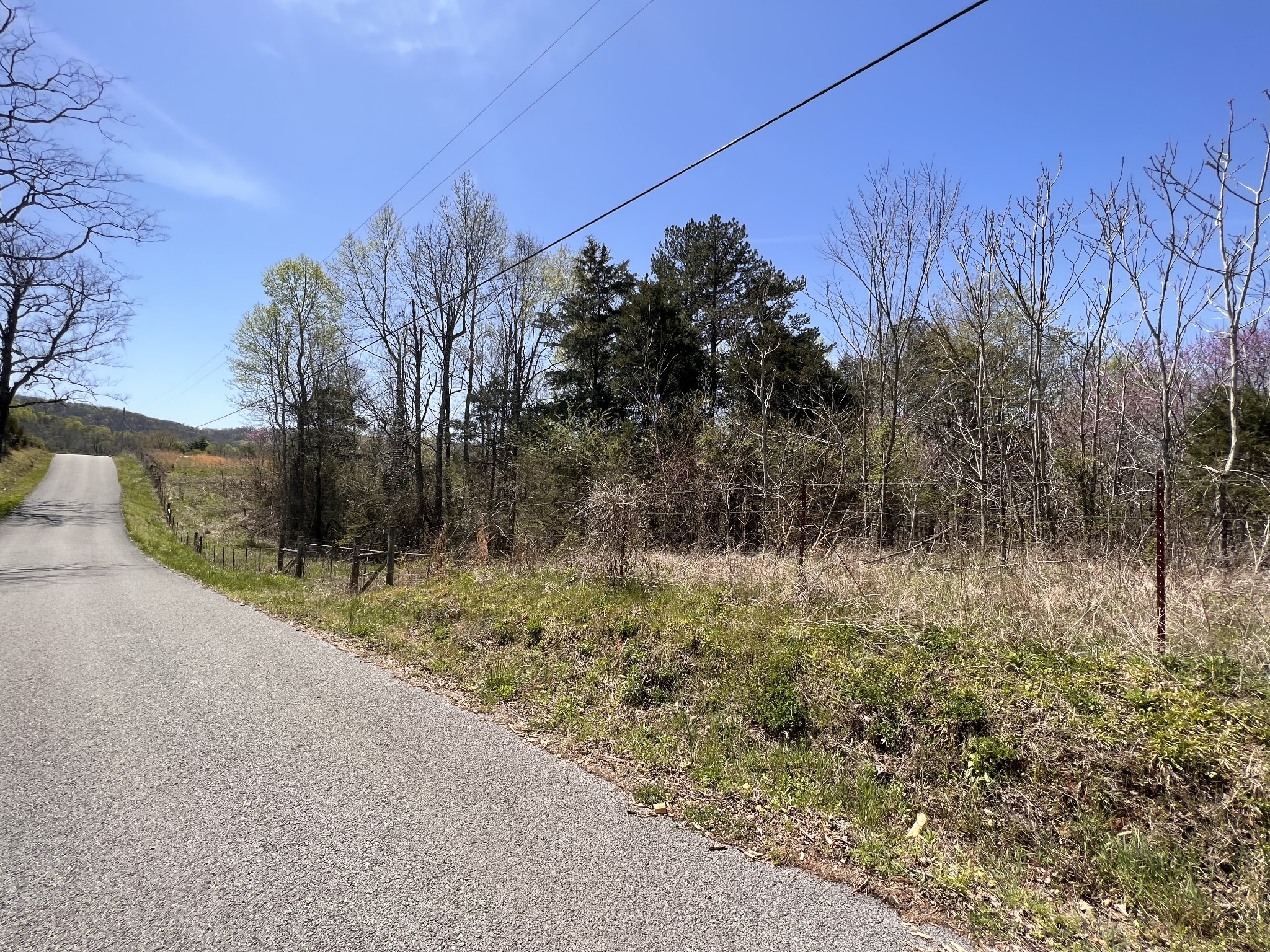 1 Creed Wright Road Walling, TN 38587 - Photo 3 of 8 Gallery Image 3
