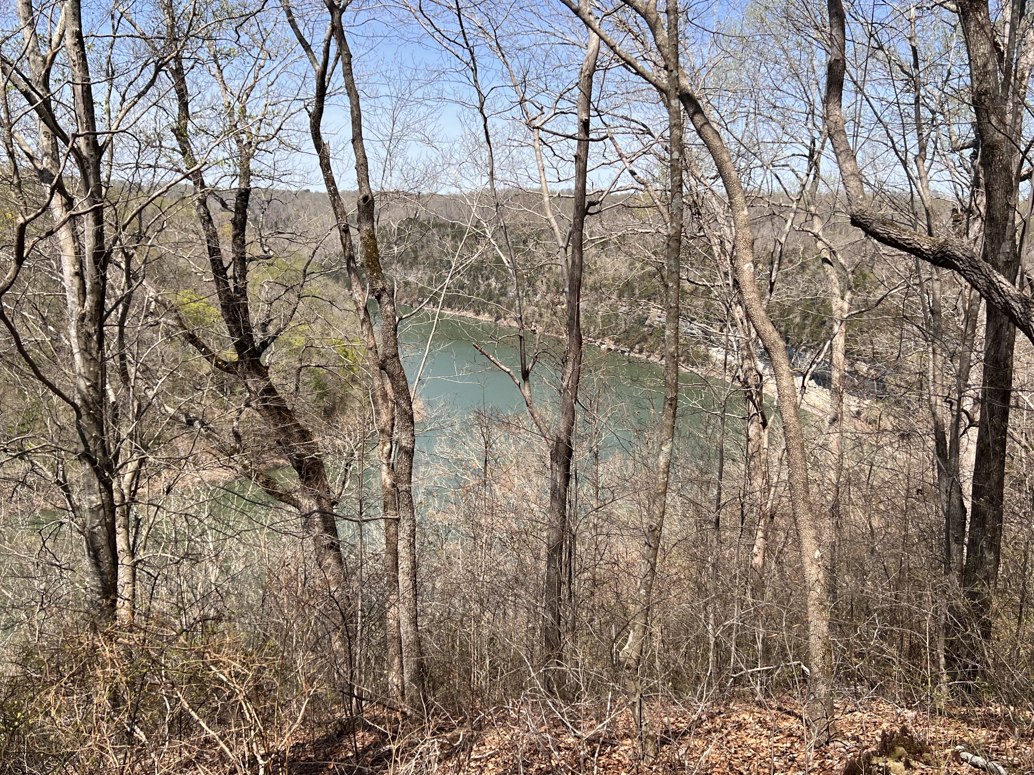 1 Creed Wright Road Walling, TN 38587 - Photo 8 of 8 Gallery Image 8