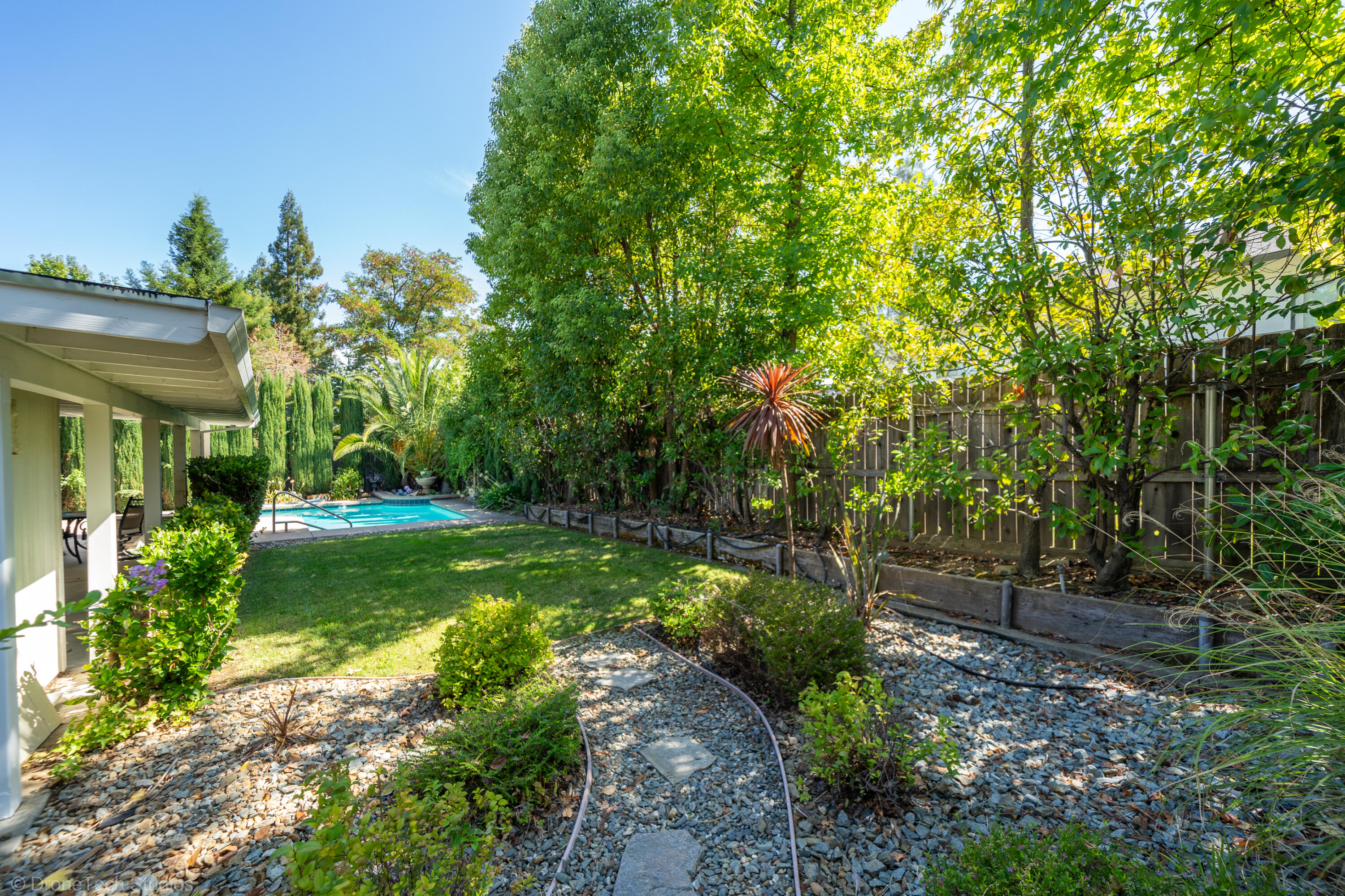 2227 Wicklow Street Redding, CA 96001 - Photo 57 of 90 a view of a yard with plants and large trees