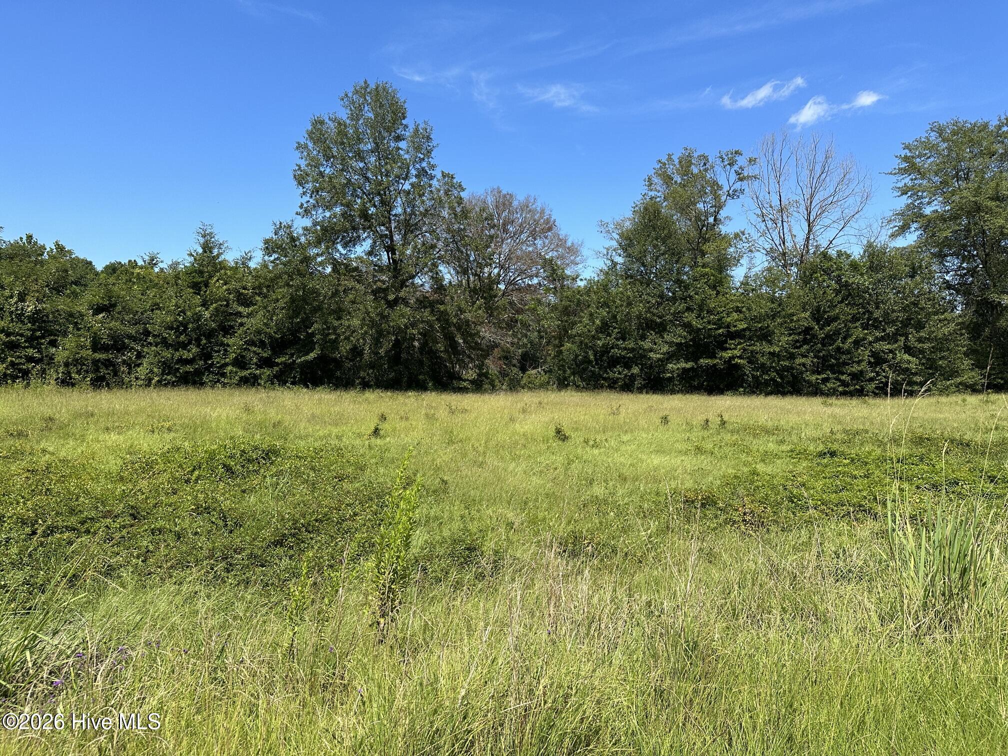 383 Rivers Run Waynesboro, GA 30830 - Photo 10 of 16