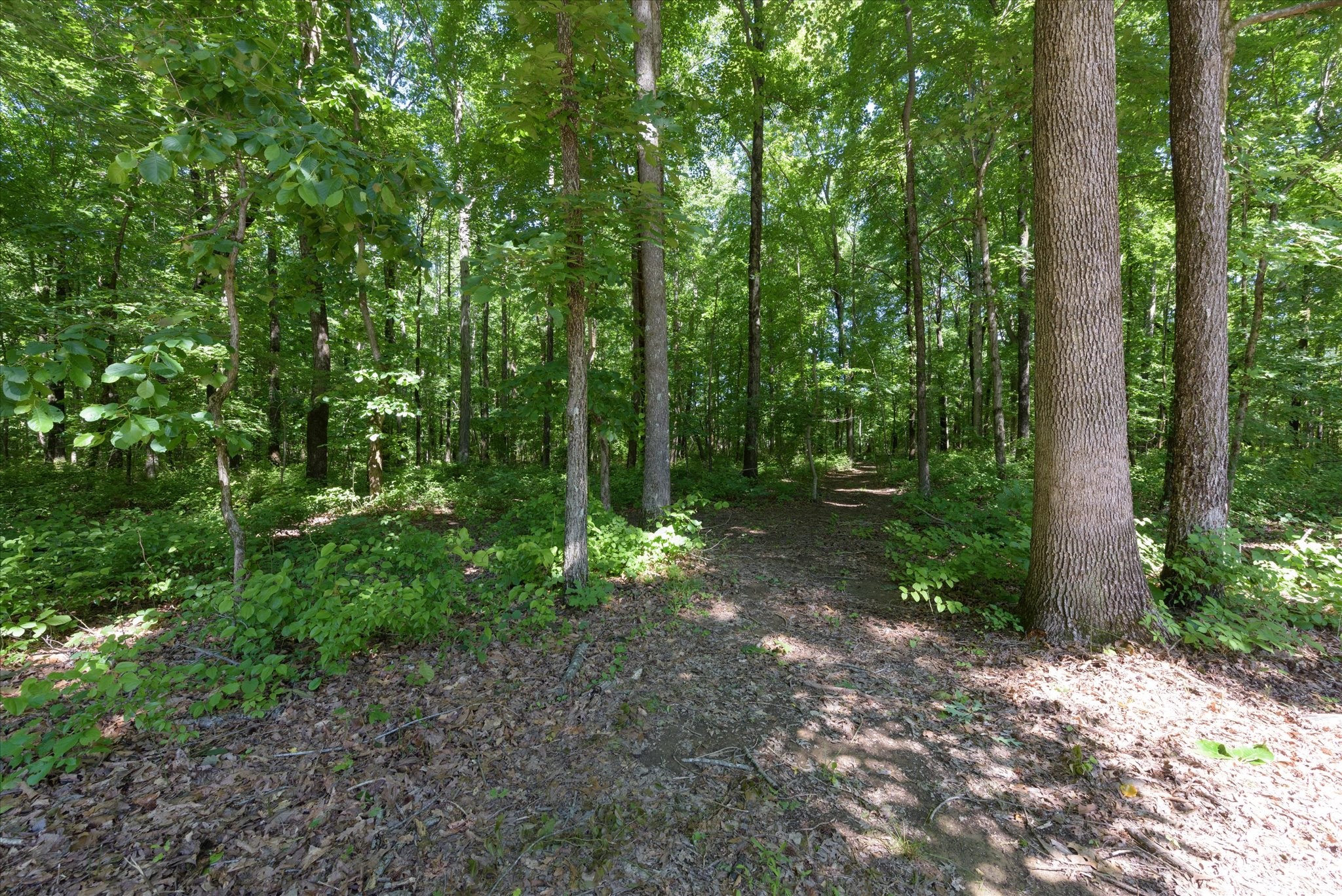 4945 East Evans Road Clarksville, TN 37043 - Photo 41 of 50 Gallery Image 41