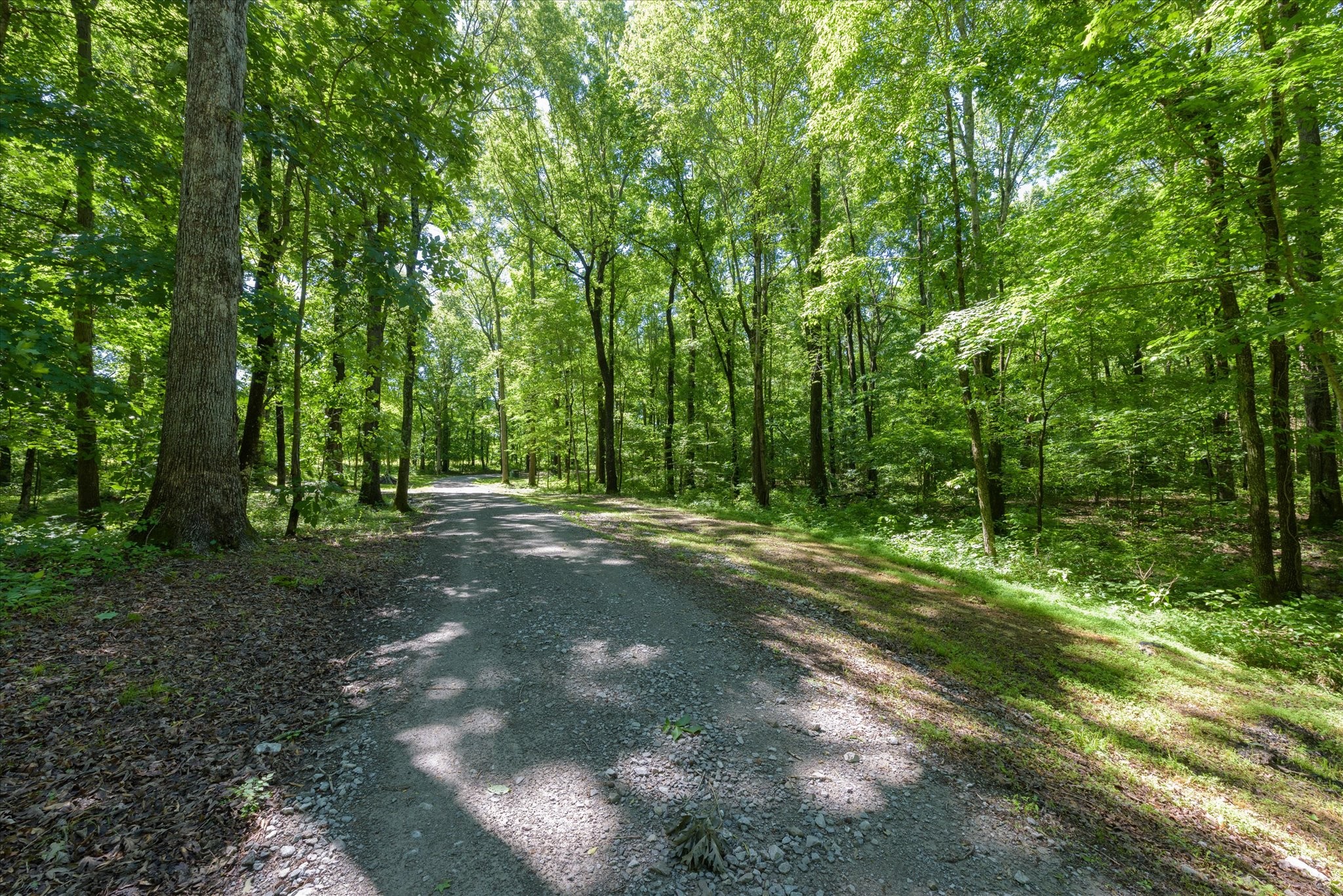 4945 East Evans Road Clarksville, TN 37043 - Photo 42 of 50 Gallery Image 42