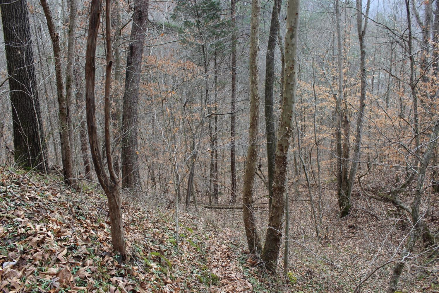 2010 Pryse Road Irvine, KY 40336 - Photo 11 of 56 Photo 11