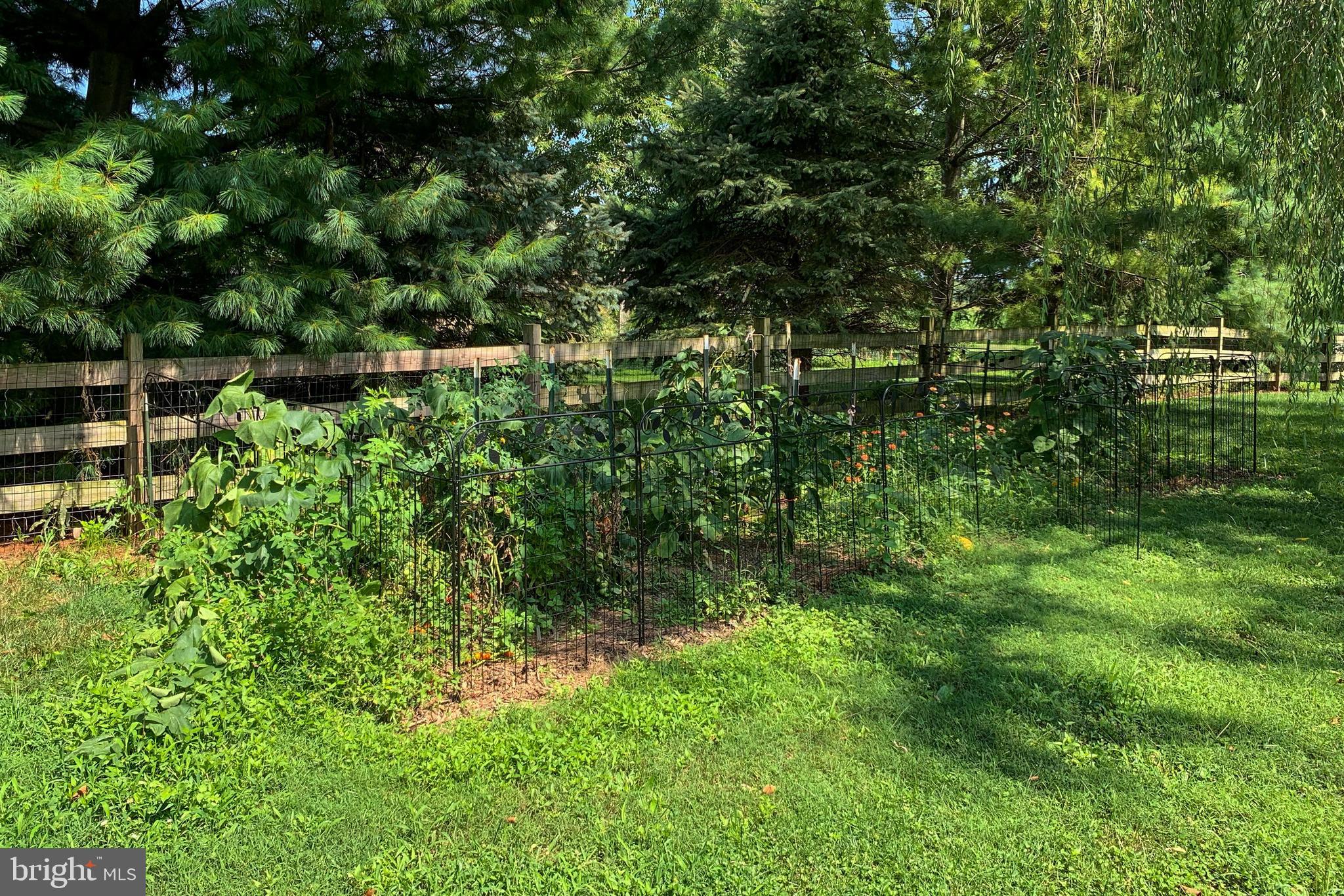 795 Prospect Road Manheim, PA 17545 - Photo 66 of 92 Garden area