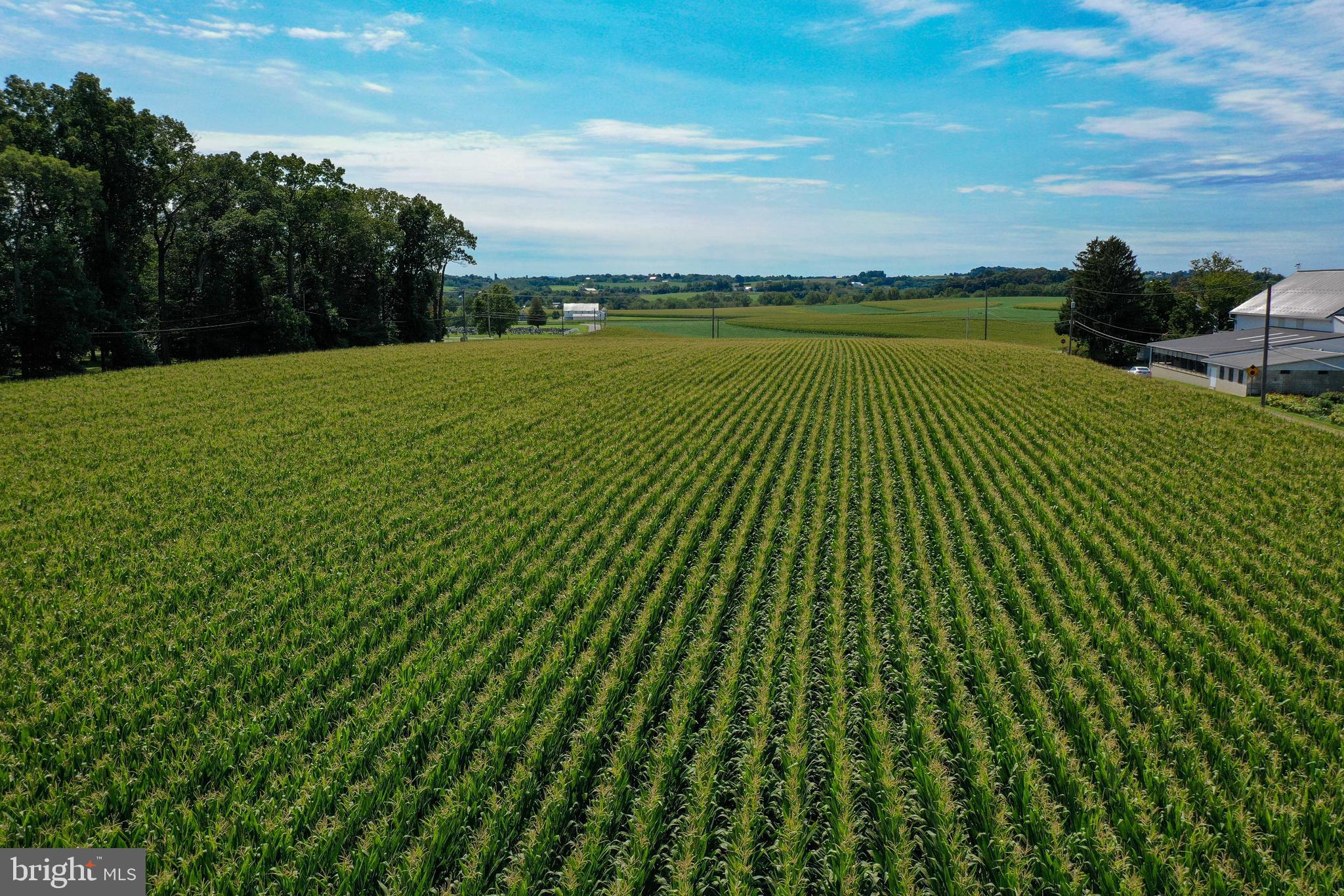 795 Prospect Road Manheim, PA 17545 - Photo 73 of 92 Farmland Views