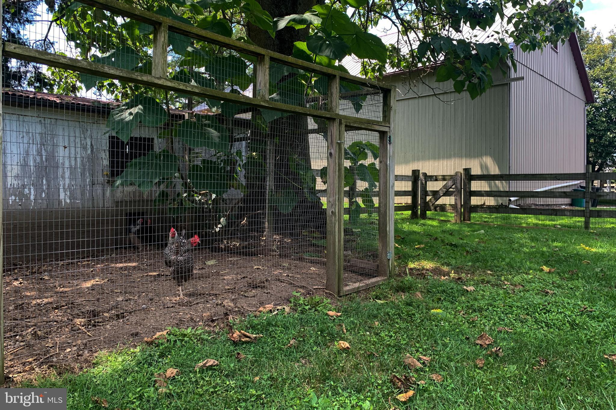 795 Prospect Road Manheim, PA 17545 - Photo 75 of 92 Chicken Coup