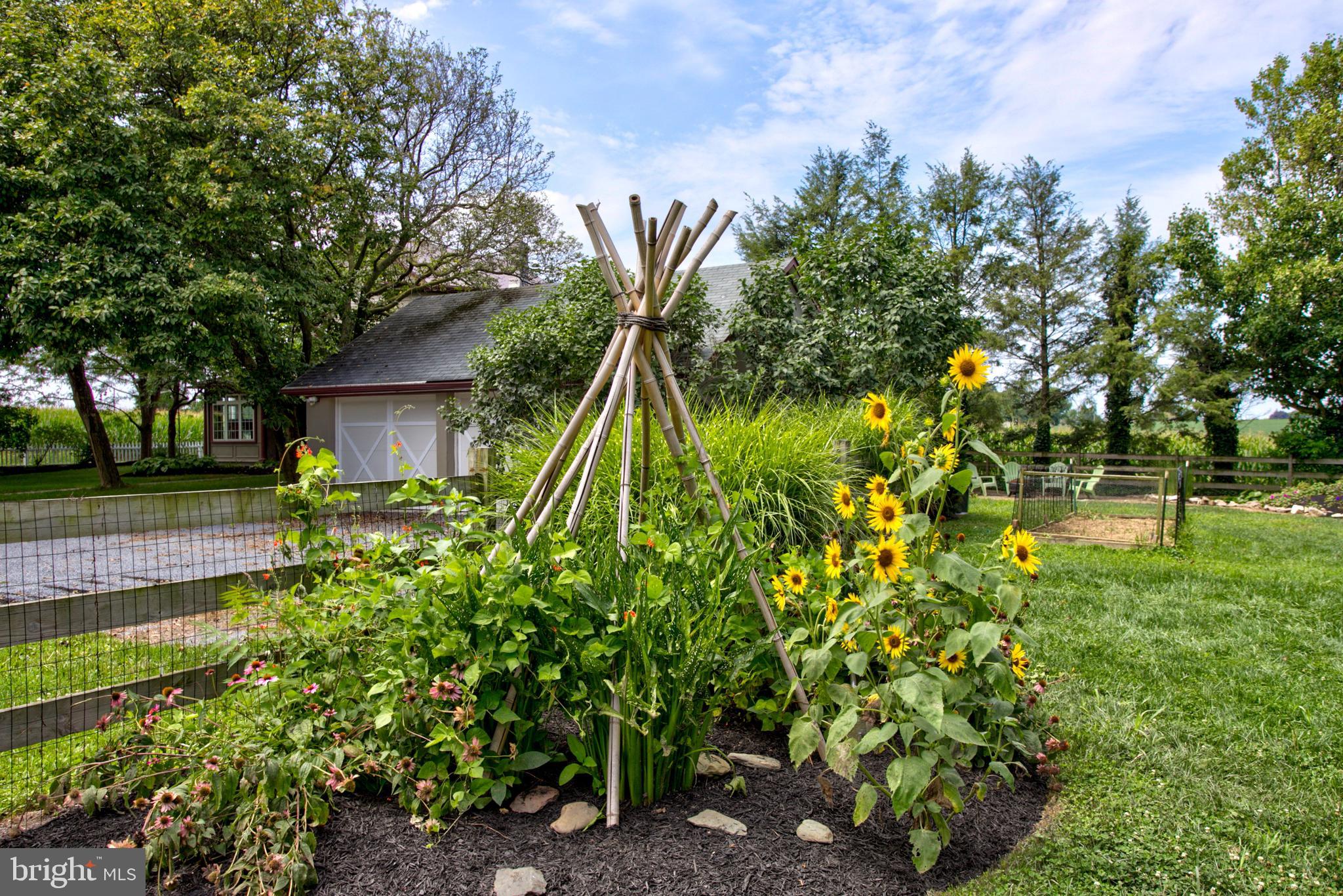 795 Prospect Road Manheim, PA 17545 - Photo 79 of 92 Landscape