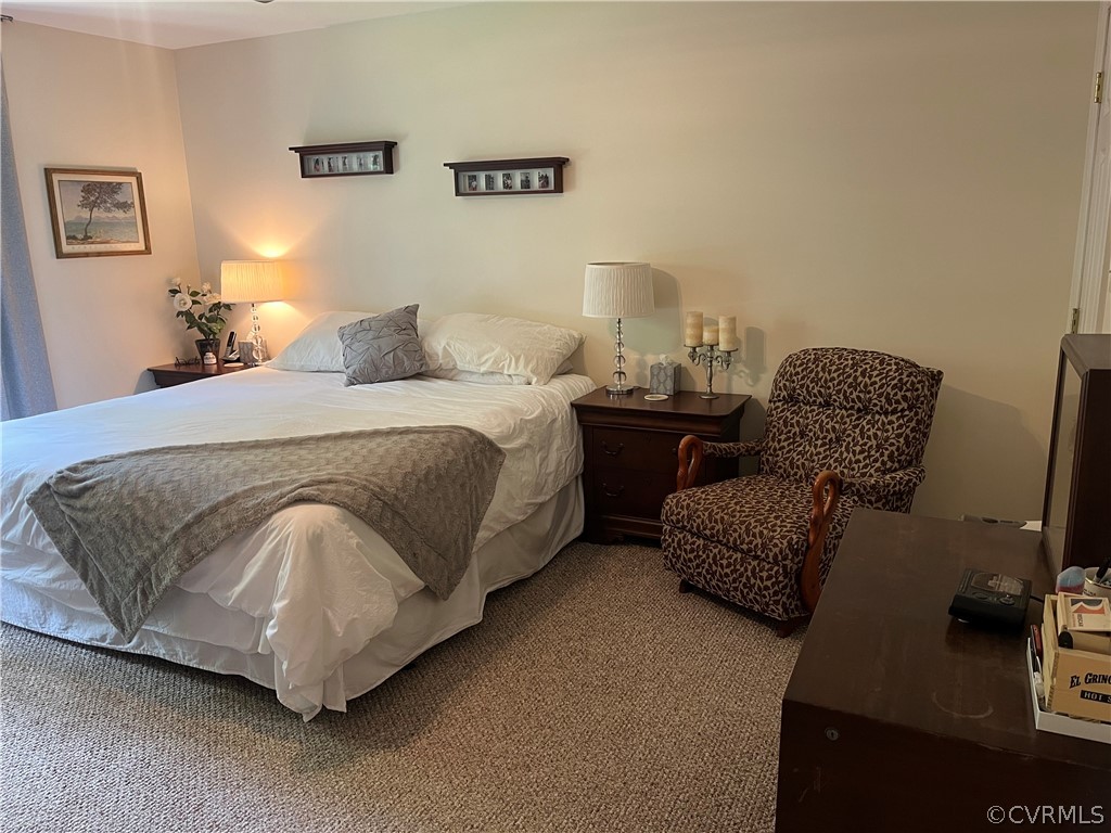 6601 Glebe Point Road Chesterfield, VA 23838 - Photo 28 of 48 Gallery Image 28