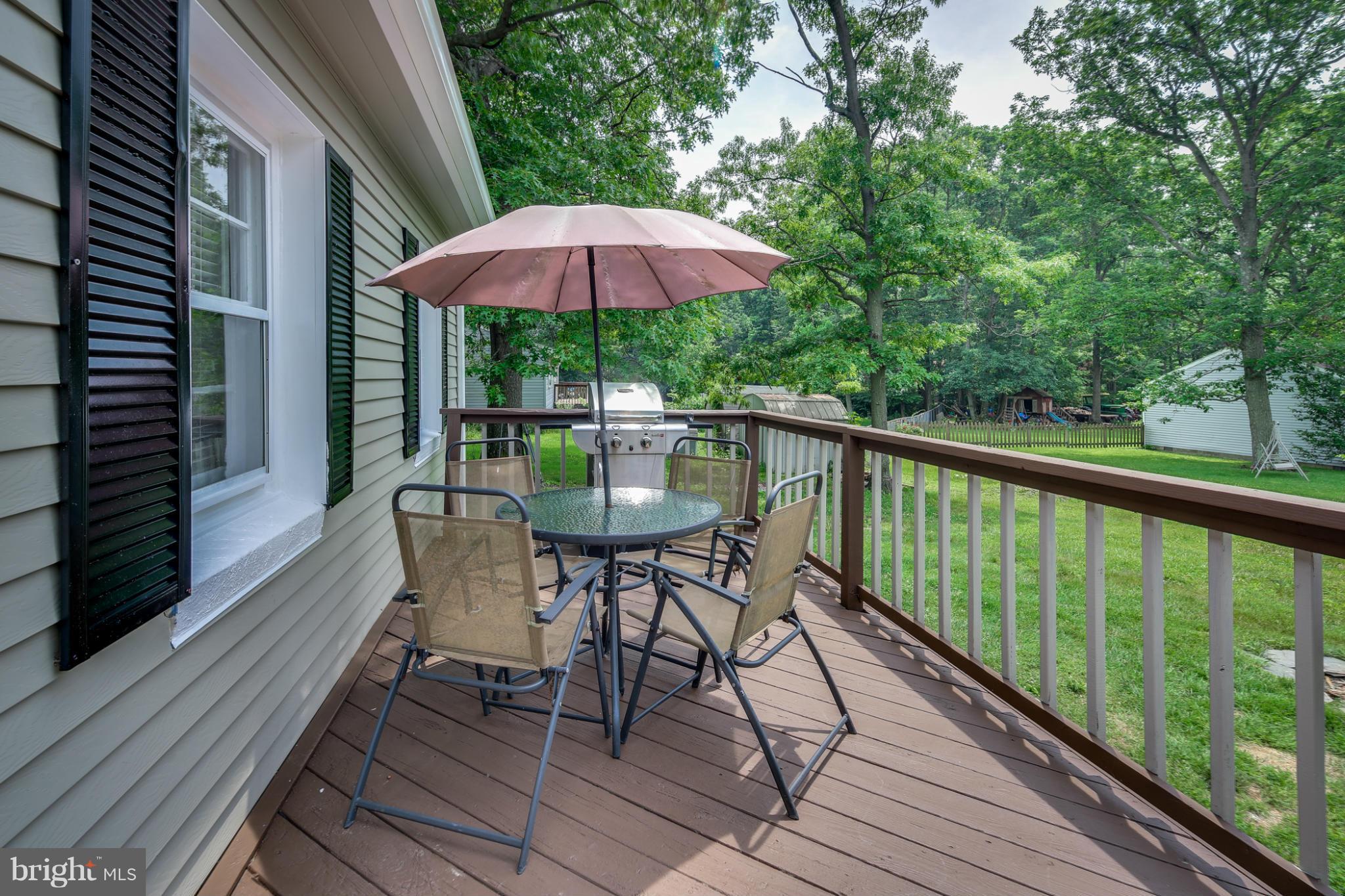 123 Red Toad Road North East, MD 21901 - Photo 24 of 27 Exterior (Rear)