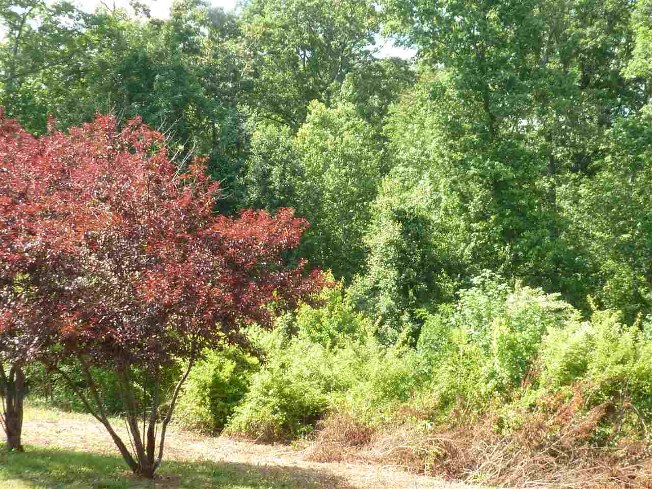 124 South 209 Landrum, SC 29356 - Photo 21 of 26 Gallery Image 21