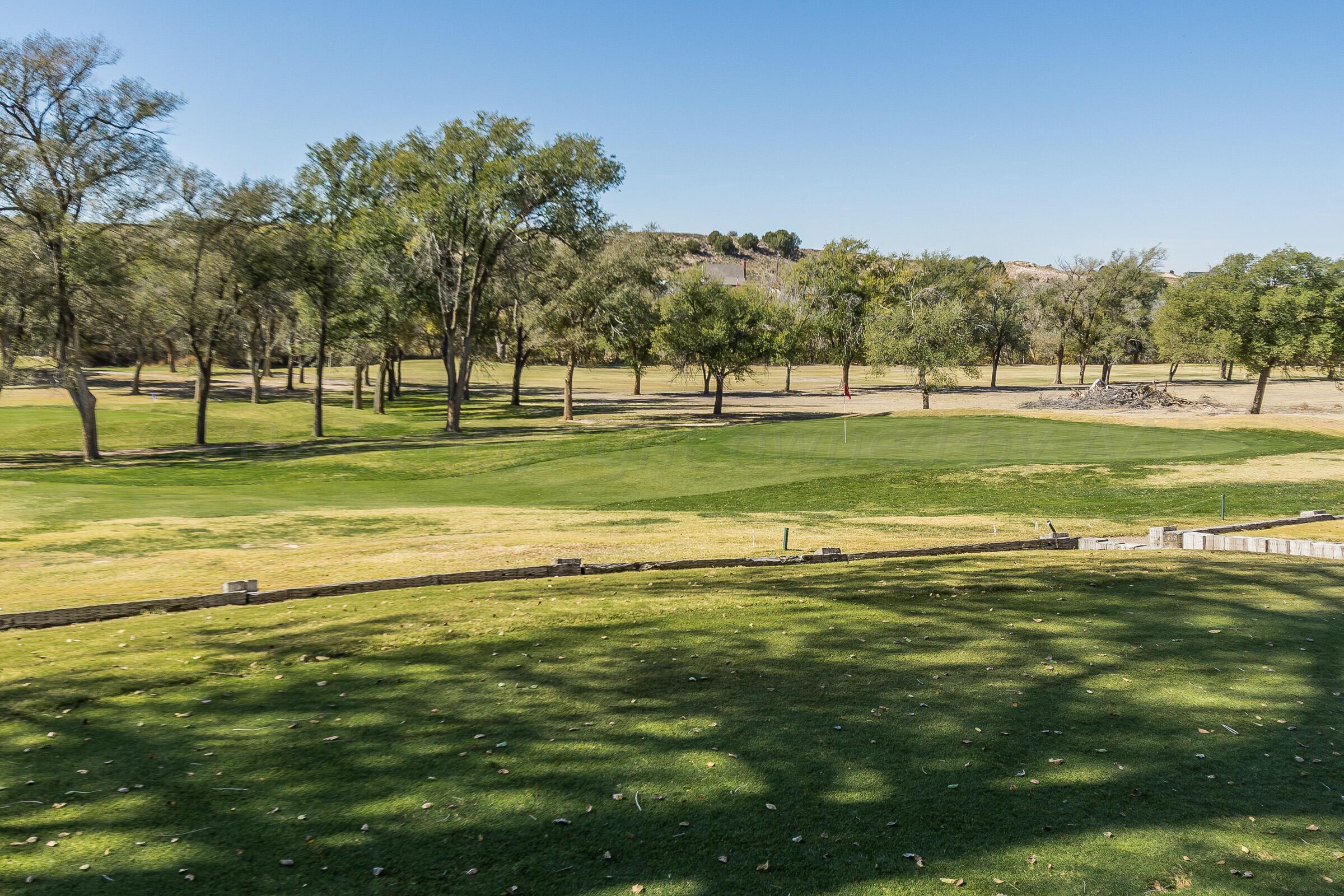 19351 Mockingbird Road Canyon, TX 79015 - Photo 50 of 55 Golf Course 3