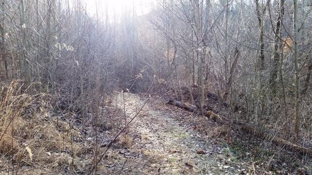899 South Fork Road Stanton, KY 40380 - Photo 8 of 22 Photo 8