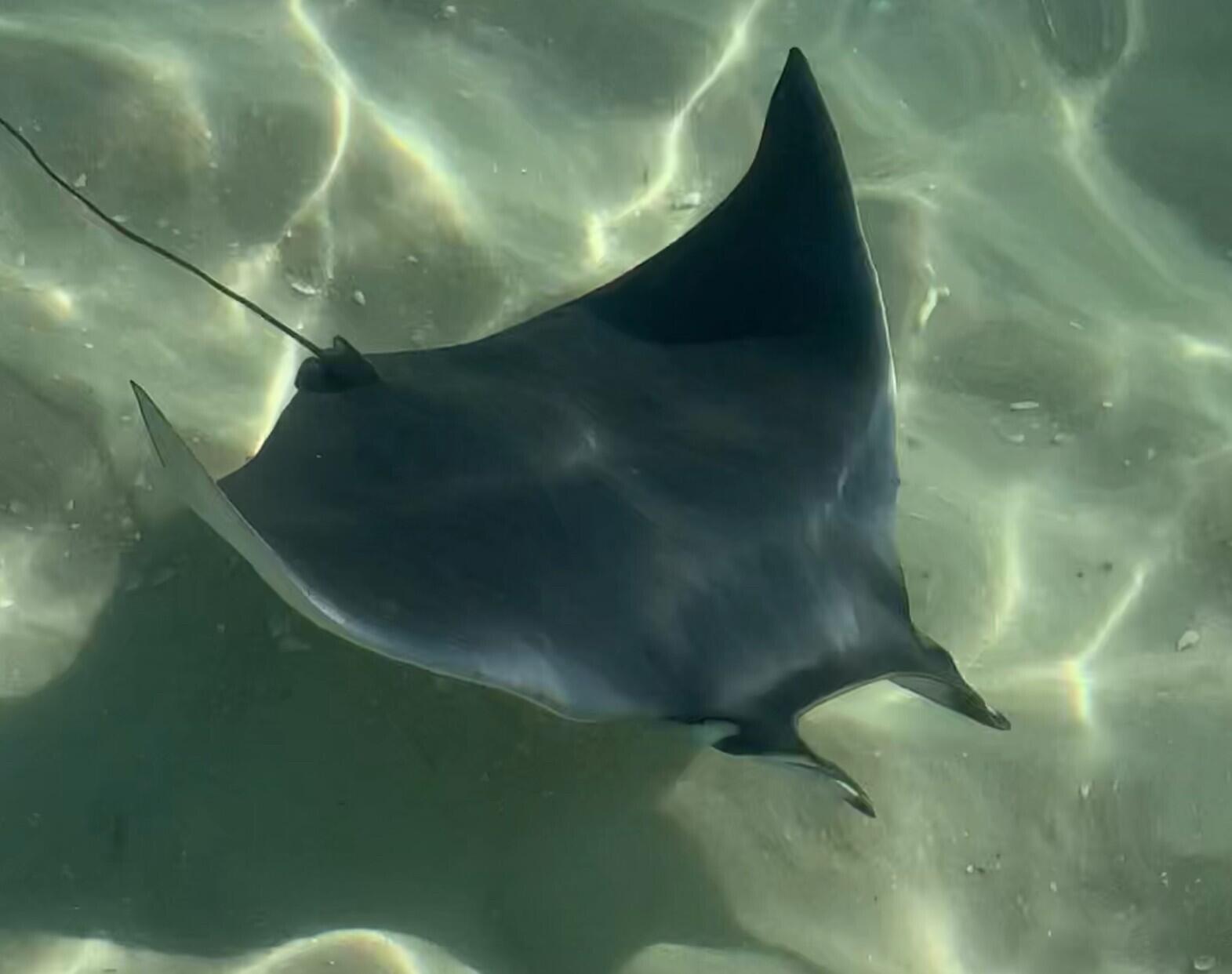 381 Santa Rosa Boulevard, Unit W515 Fort Walton Beach, FL 32548 - Photo 24 of 34 a water view of a fireplace