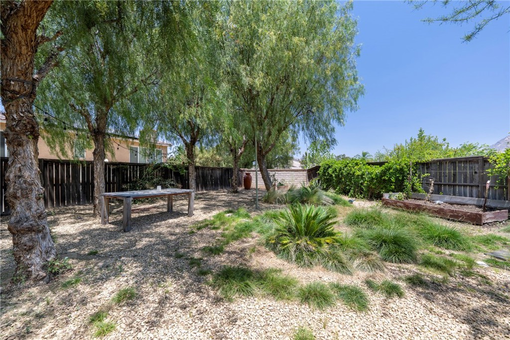3819 St Austell Way Perris, CA 92571 - Photo 56 of 64 a view of backyard with wooden fence and a large tree