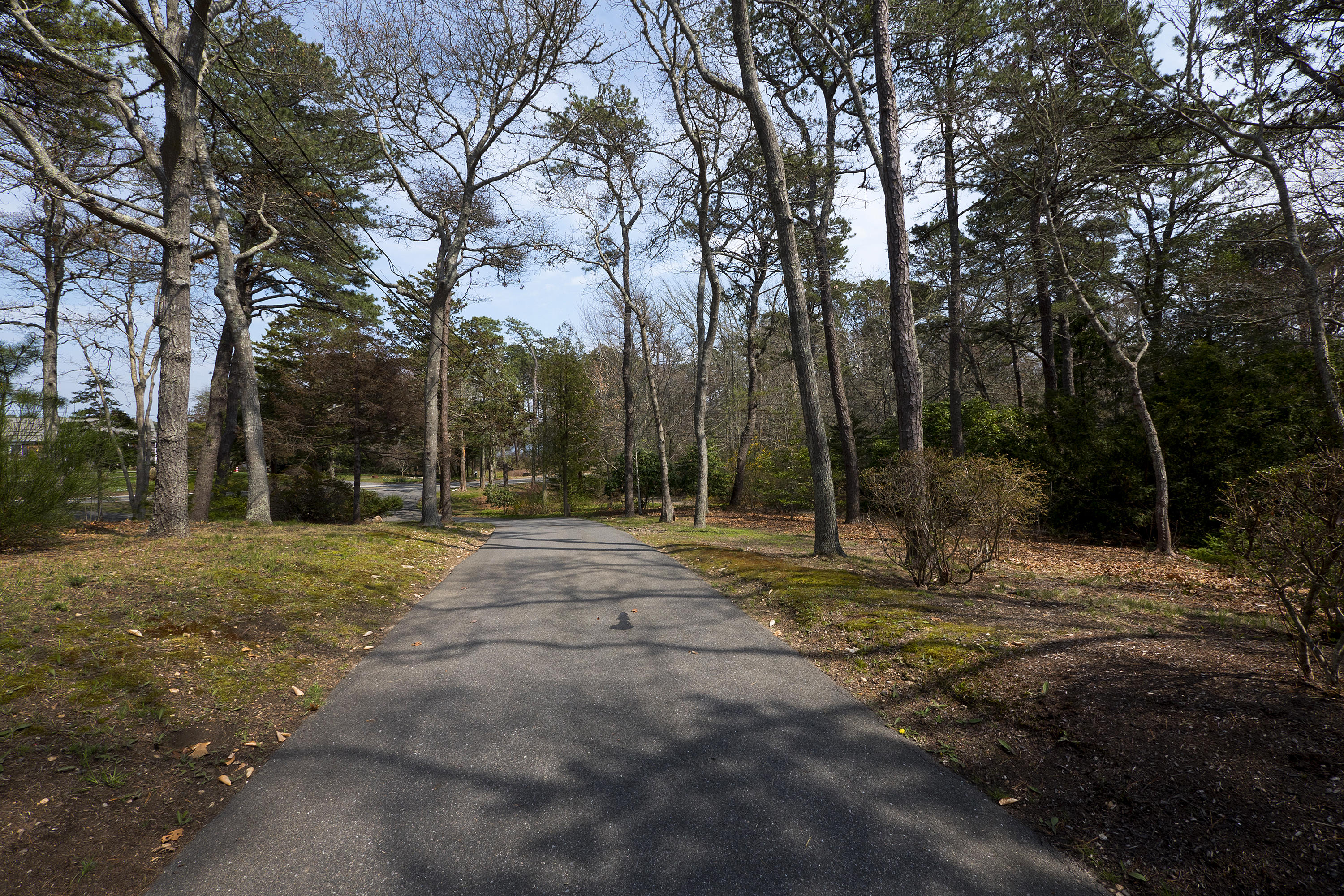 377 Huckins Neck Road Centerville, MA 02632 - Photo 4 of 26 driveway