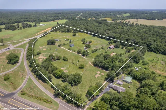 an aerial view of a residential houses with outdoor space and trees