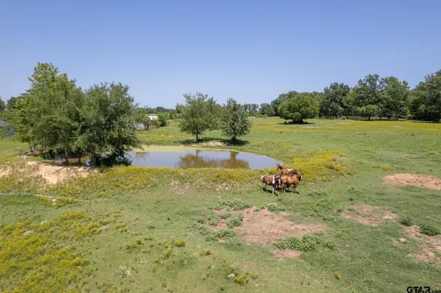 a close up of a wall with a floor to ceiling window