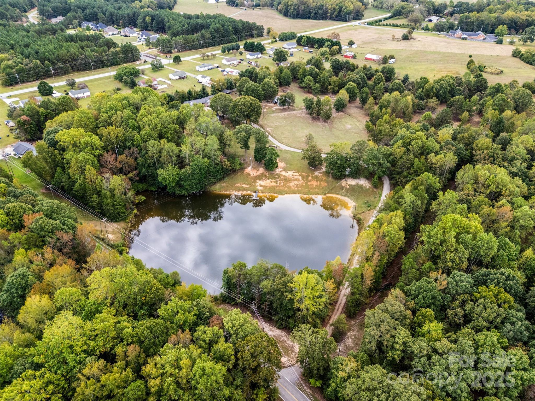 a view of a garden with an outdoor space