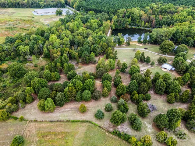 a view of a garden with a lake