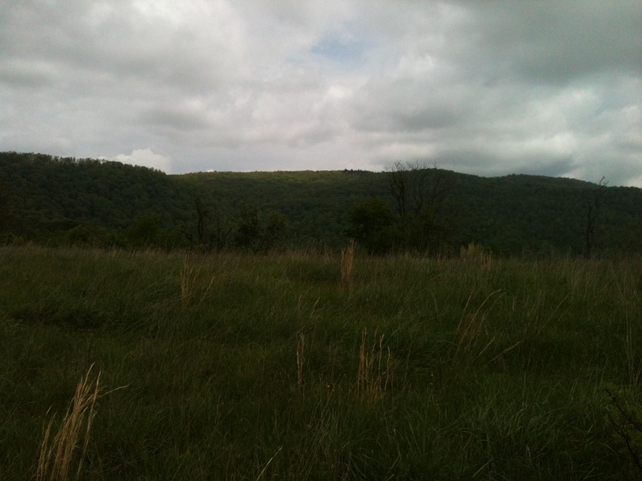 Old Renick Valley Road Renick, WV 24966 - Photo 12 of 25 Gallery Image 12