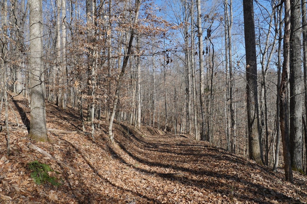 Tbd Tbd Dean Road Rose Hill, VA 24281 - Photo 56 of 97 Gallery Image 56