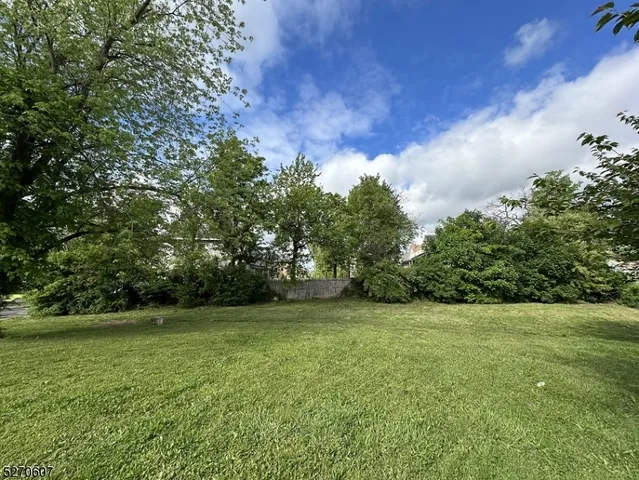 a view of a green field with trees in the background