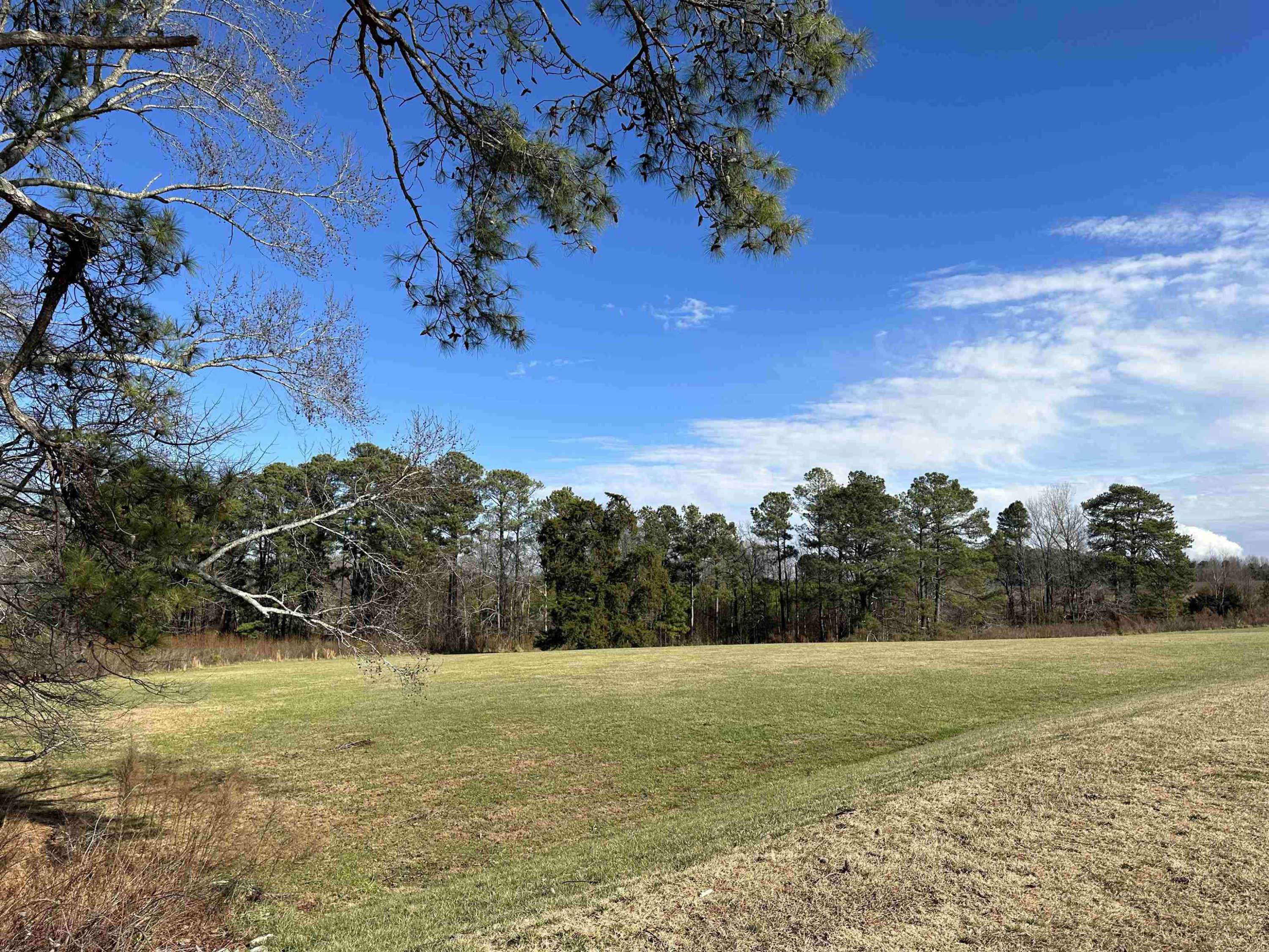 4432 Beckel Road Willow Spring, NC 27592 - Photo 21 of 22 Photo 23