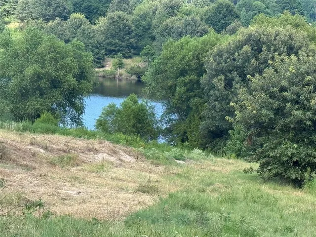an aerial view of residential houses with outdoor space and trees