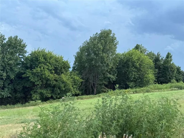 a view of a green field with lots of bushes