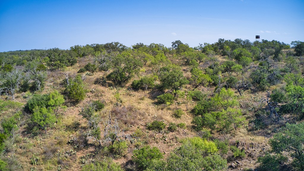 0 Cow Creek Road Mason, TX 76856 - Photo 15 of 17 Gallery Image 15