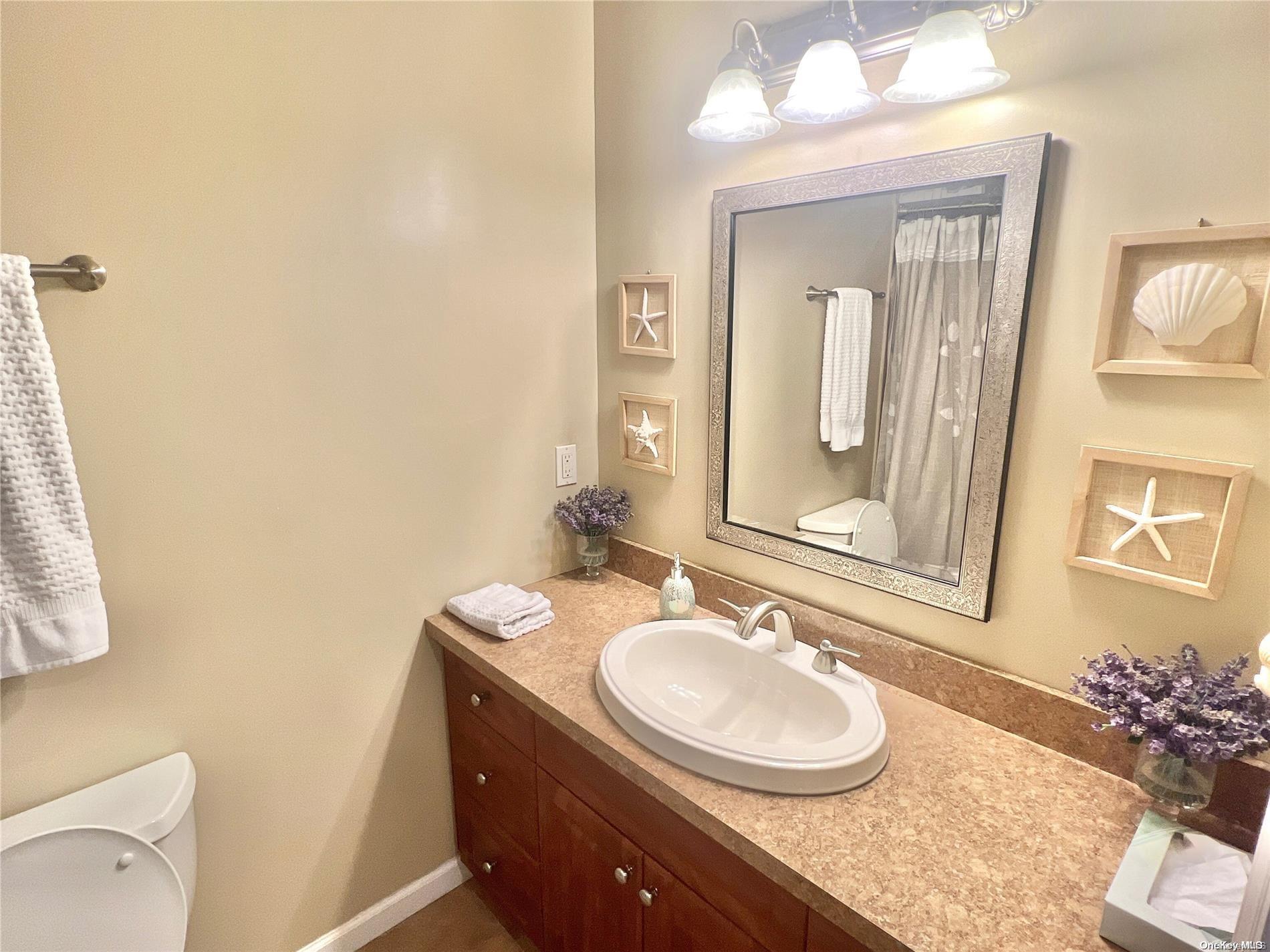 813 Shore Road Long Beach, NY 11561 - Photo 16 of 33 a bathroom with a sink vanity mirror and toilet