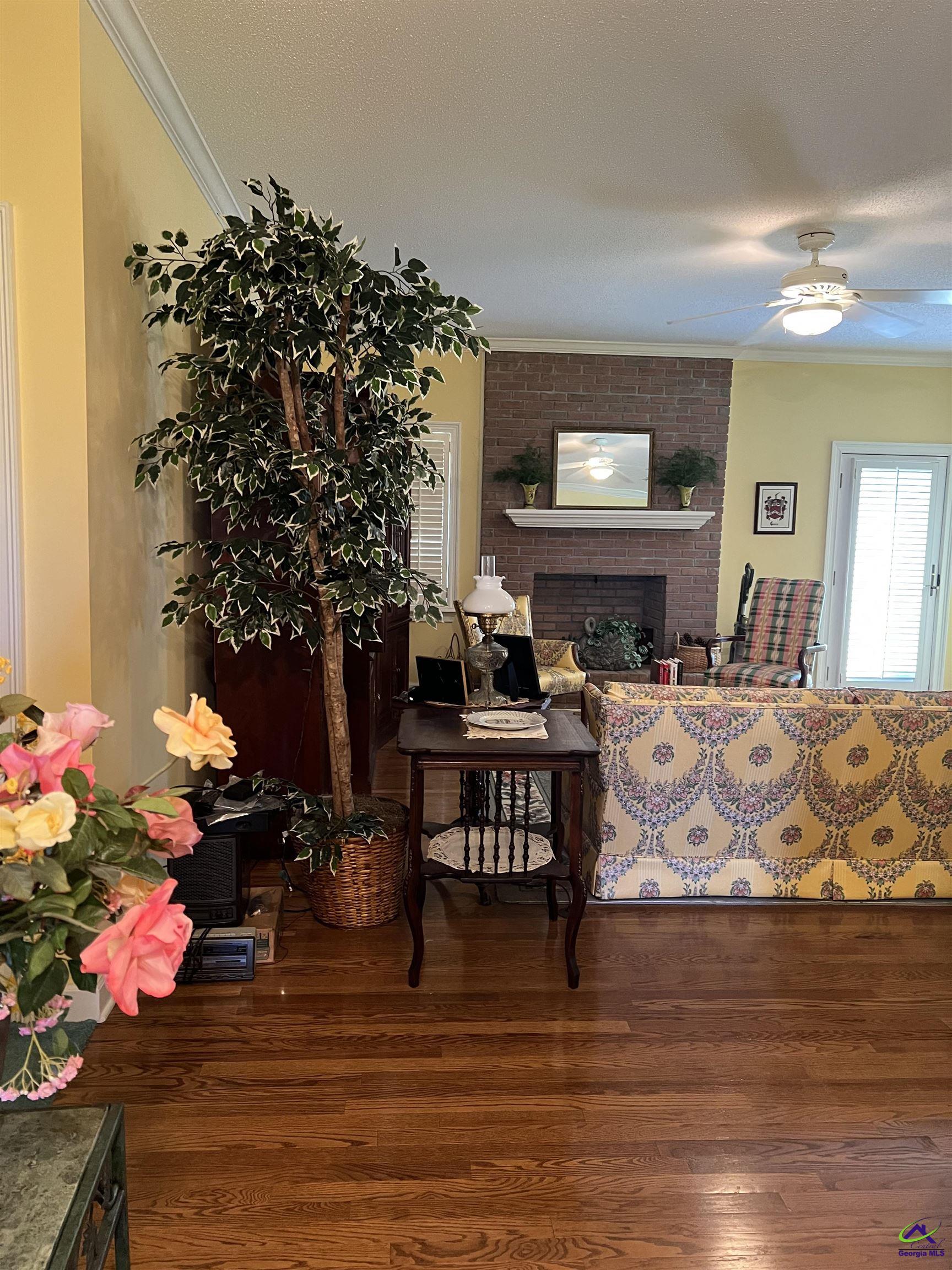 762 Nicholson-Carr Road Chester, GA 31012 - Photo 4 of 81 a living room with fireplace furniture and a potted plant