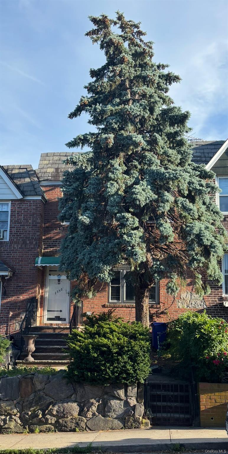 73-50 52nd Road Queens, NY 11378 - Photo 2 of 5