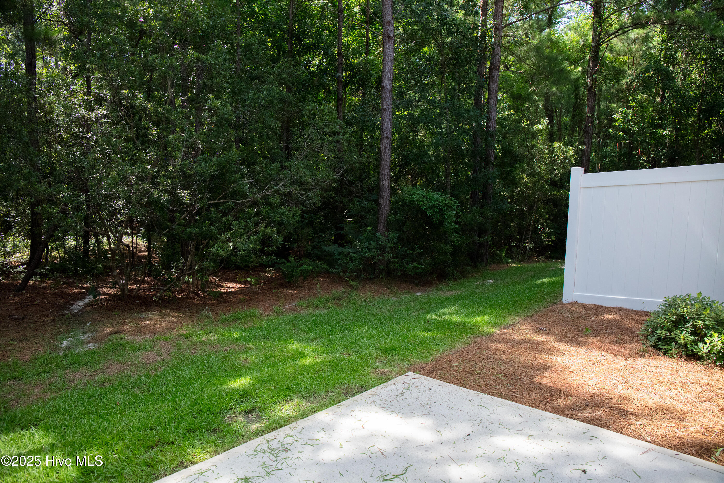 1508 Dove Shell Way Wilmington, NC 28405 - Photo 19 of 25 View from back patio